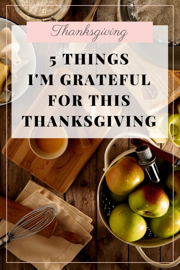 Happy Thanksgiving!  Today I'm taking time out to reflect on all that I have to be grateful for this year.